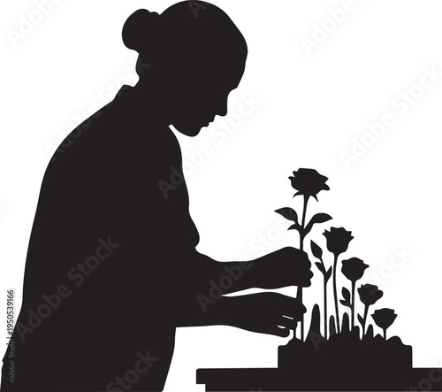 Woman arranging roses on cake silhouette, vector art, illustration, line art