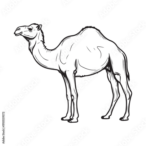 A drawing of two horses standing next to each other