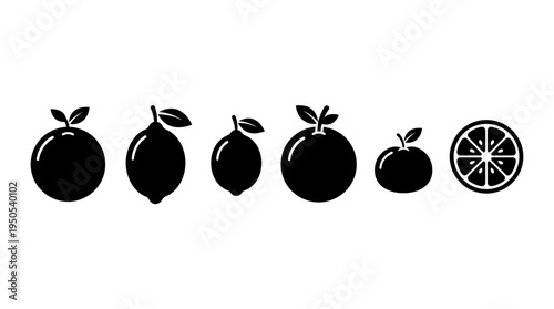 A collection of citrus fruit silhouettes showcasing their shapes and sizes against a white background