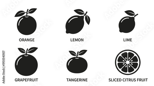 Various Citrus Fruits Illustrated with Labels, Showcasing Freshness and Vibrant Colors