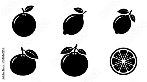 Collection of citrus fruit silhouettes featuring oranges, lemons, and a sliced orange