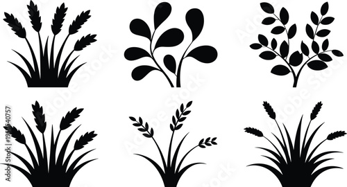Botanical plant silhouettes vector collection, wheat grass and leafy bush shapes, black nature foliage icons set, flat vector illustration