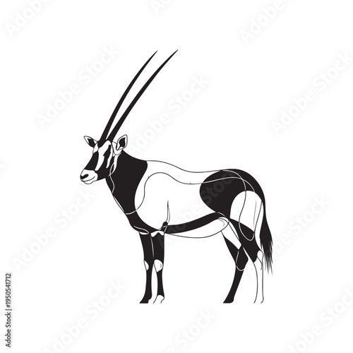 A close up of a animal with long horns