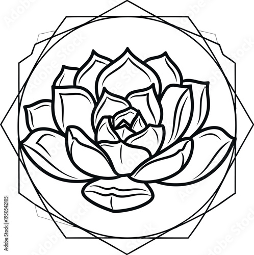 Minimalist black and white line art drawing of a detailed succulent flower enclosed within concentric geometric shapes suggesting balance and harmony.