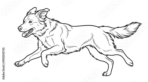 Dog Running Fast with Tongue Out.