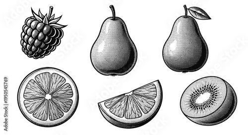 Vintage Fruit Engraving Set: Raspberry, Pear, Orange, Kiwi Slice