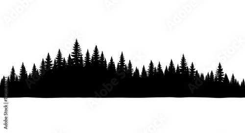 Black Silhouette of Evergreen Forest Horizon