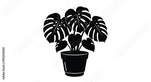 A striking black and white illustration depicts a monstera deliciosa plant in a simple dark colored pot high quality professional