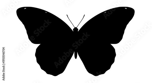 Butterfly black silhouette with spread wings and antennae on white background featuring insect, icon, symbol with