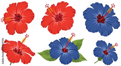 Vibrant Hibiscus Flowers: Red and Blue Tropical Blooms Collection