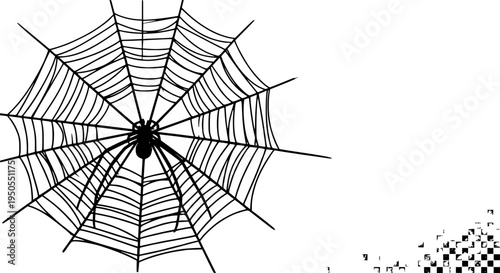 Spider web with black spider and intricate threads on white background featuring halloween, creepy, crawly with
