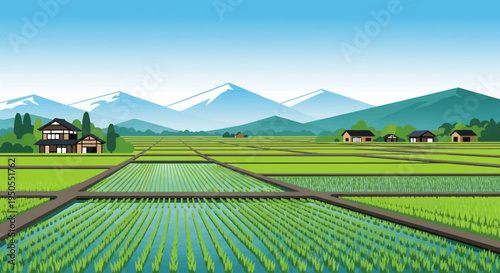 Serene Rice Paddy Fields with Traditional Houses and Snow-Capped Mountains