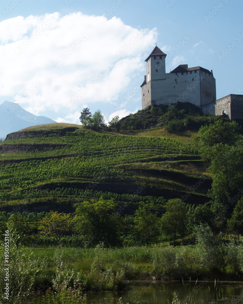Fototapeta premium Gutenberg castle overseeing vineyard terraces and the alps