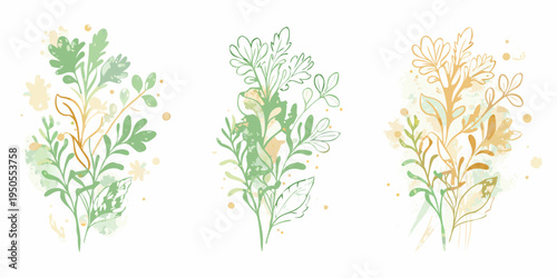 Watercolor floral arrangements with delicate lines and soft color washes