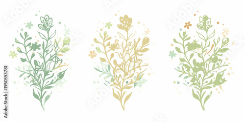 Three delicate botanical illustrations with varying color palettes