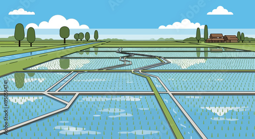 Paddy Field Landscape with Irrigation System and Traditional House