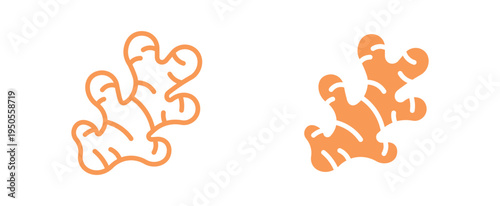 Ginger root icon set. Fresh ginger spice ingredient icon, organic food and herbal medicine concept. Vector illustration.