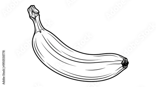 Drawing of a single banana.