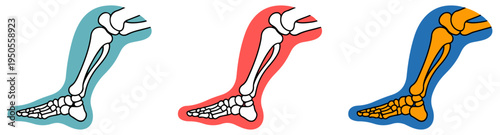 orthopedic leg bone knee joint icon set