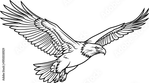 Large bird flying with outstretched wings.