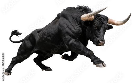 Dynamic Black Bull in Powerful Pose