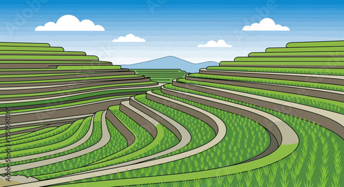 Lush Green Terraced Rice Paddies on Rolling Hills Under a Blue Sky