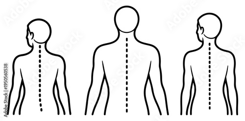spine anatomy vector icon linear