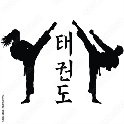 vector silhouette of a man and women performing Taekwondo 
