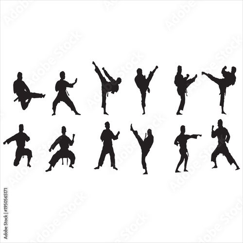 vector silhouettes of taekwondo