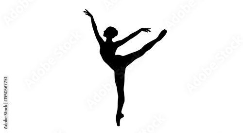 Dancer ballet in dynamic pose with outstretched arms and one leg raised high featuring dance, performance, art with