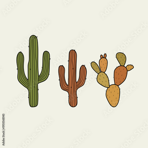 Three different desert cacti in a minimalist flat illustration style.