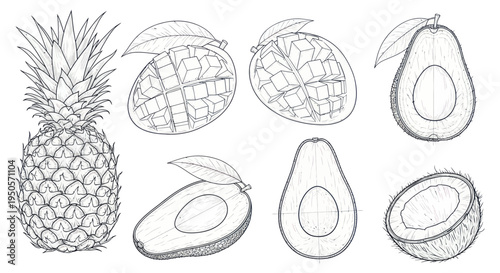 Hand-drawn tropical fruits: pineapple, mango, avocado, coconut sketch