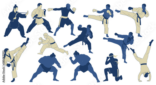 Martial Arts Fighters Performing Various Combat Moves