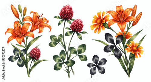 Vibrant Lily and Clover Flower Arrangements, Delicate Botanical Illustration