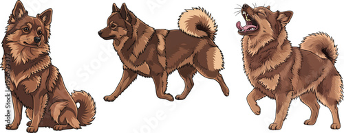 German Spitz dog walking side profile yawning sitting pose set
