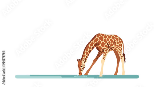 Giraffe Drinking Water Illustration.