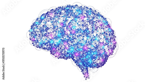 Human Brain Structure Illustration.