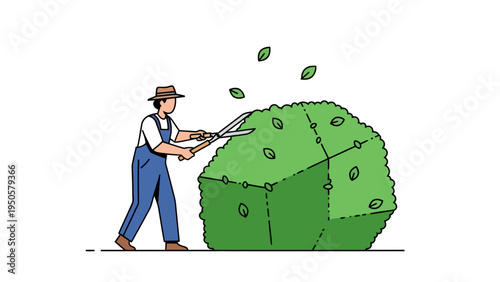 Man Cutting Large Cabbage.