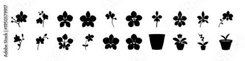 Flower and Potted Plant Silhouette Icon Set - Black silhouette collection of flowers, clover leaves, blossoms, and potted plants for botanical, garden, and decorative design uses.