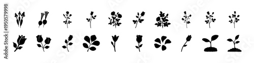 Black Flower and Plant Growth Icons Set - Collection of black silhouette flower and plant growth icons showing leaves, blossoms, stems and seedlings isolated on white background.