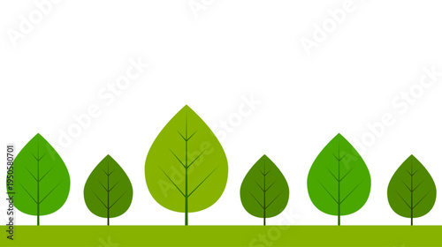 alberi, bosco, pianta, foresta, piante, ecosistema, natura