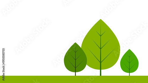 alberi, bosco, pianta, foresta, piante, ecosistema, natura