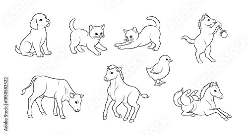 Farm Animals Line Drawings.