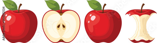 Red apple set. Whole apple, sliced half and eaten core with leaf. Fresh healthy fruit vector illustration for food design, grocery packaging, nutrition concept.
