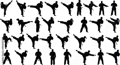 Large collection of martial arts silhouettes featuring karate and taekwondo fighters in various combat poses and kicks.