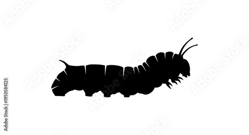 Caterpillar Silhouette Insect Profile.