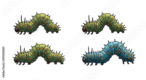 Caterpillar Stages of Growth.