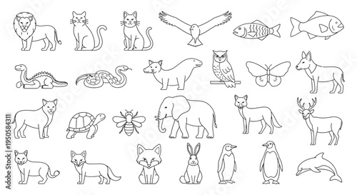 Collection of Various Animals.