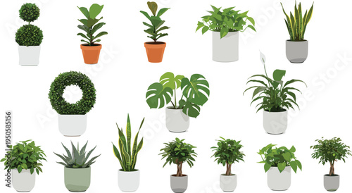 Potted houseplant collection set, flat vector illustration of various indoor plants and greenery for home decor.