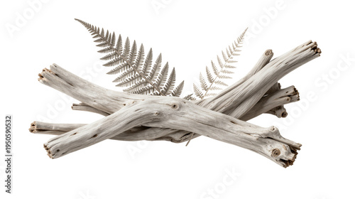 Driftwood and Ferns Arrangement on White Background